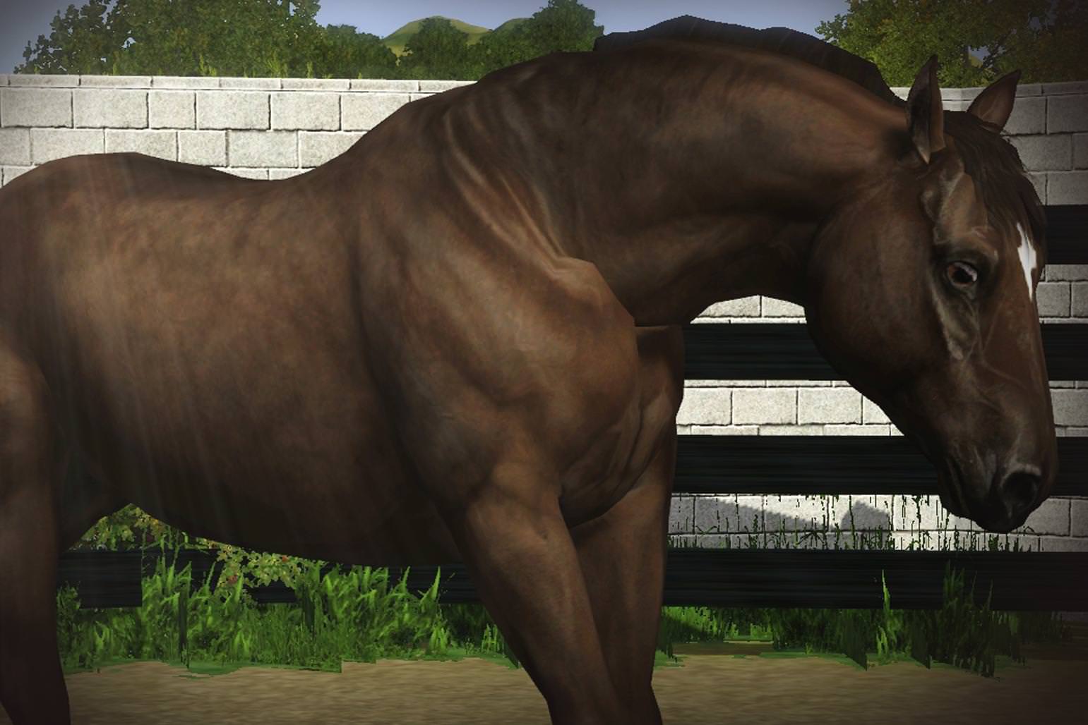 Horse image