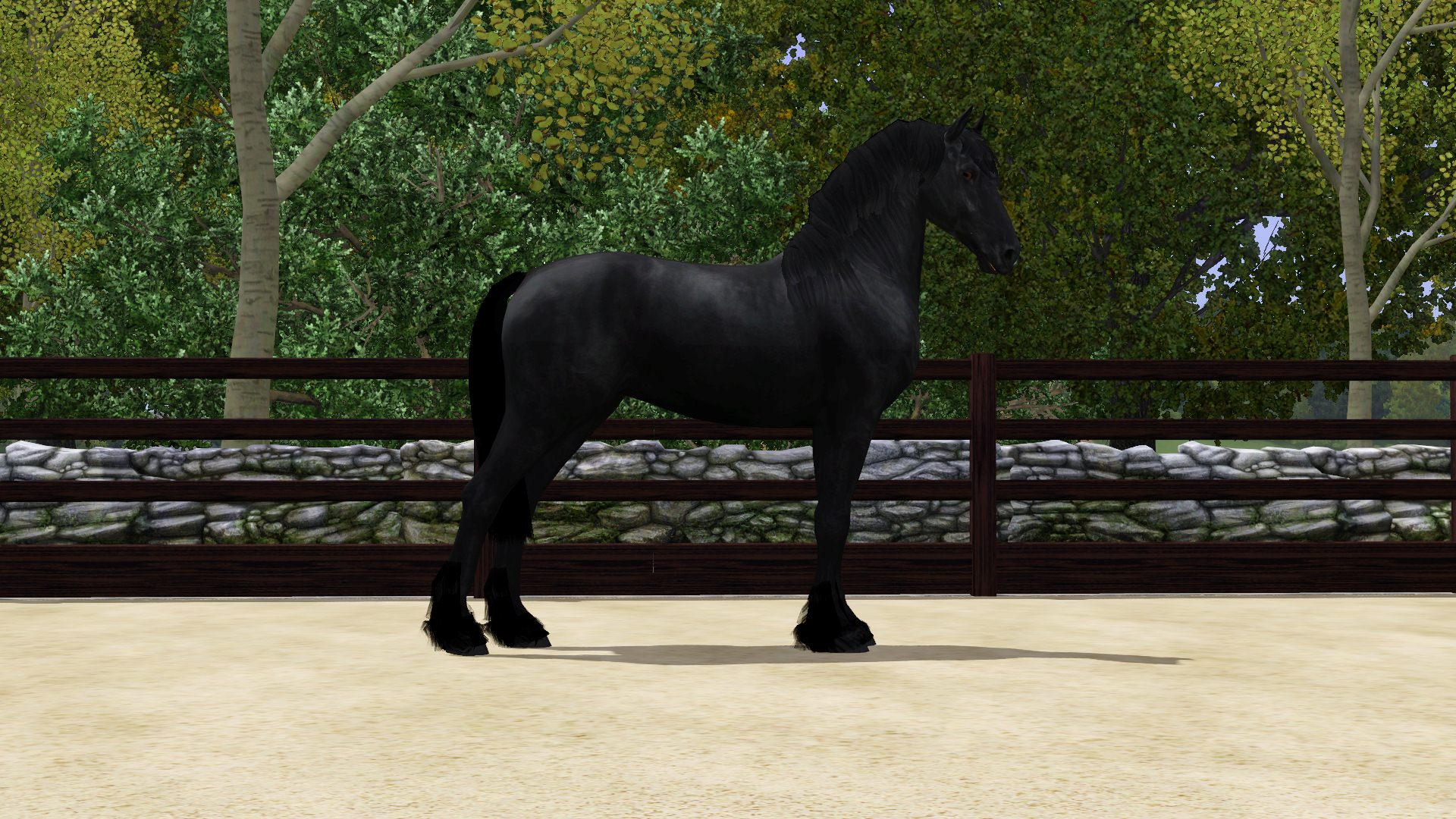 Horse image