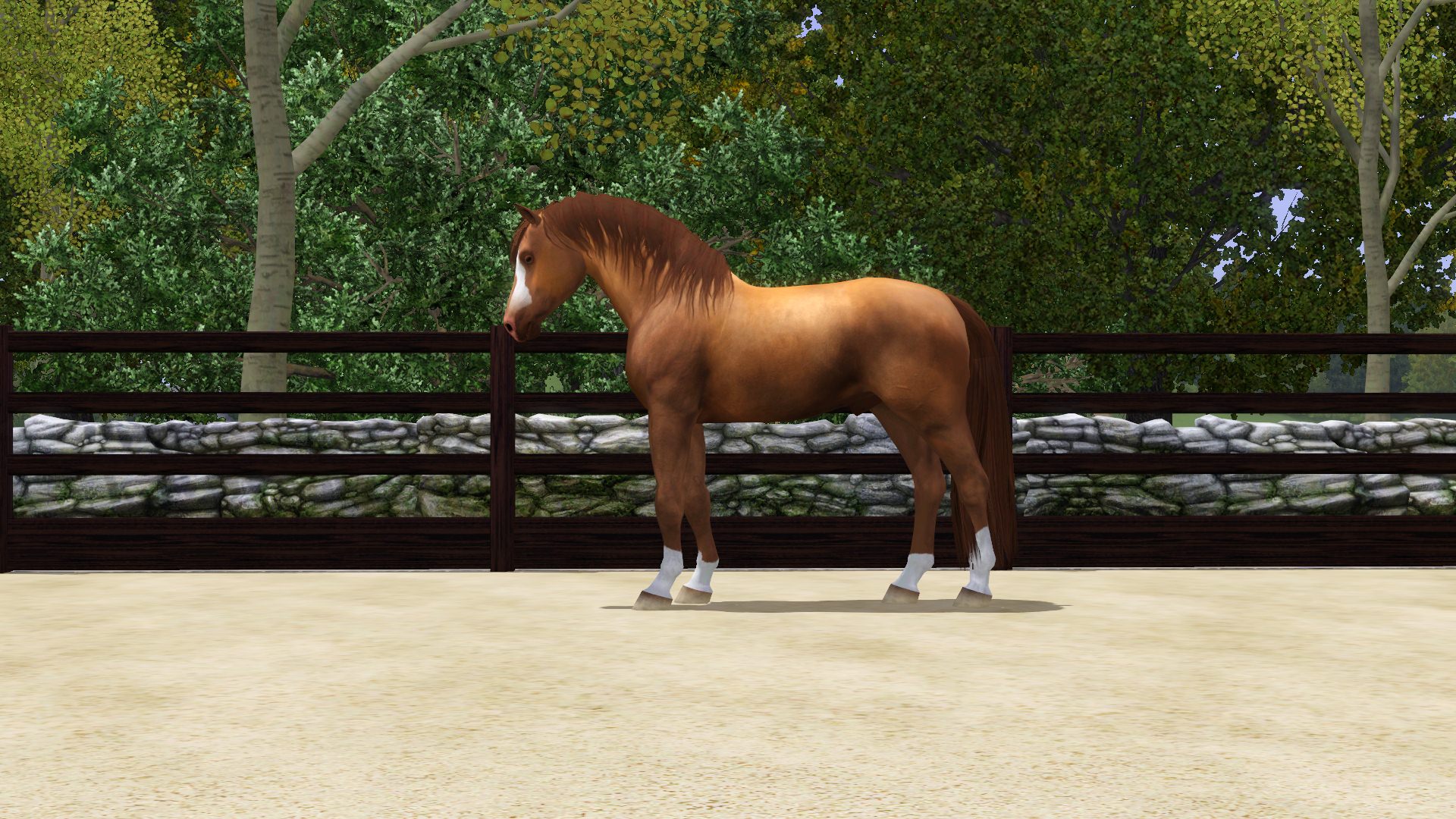 Horse image