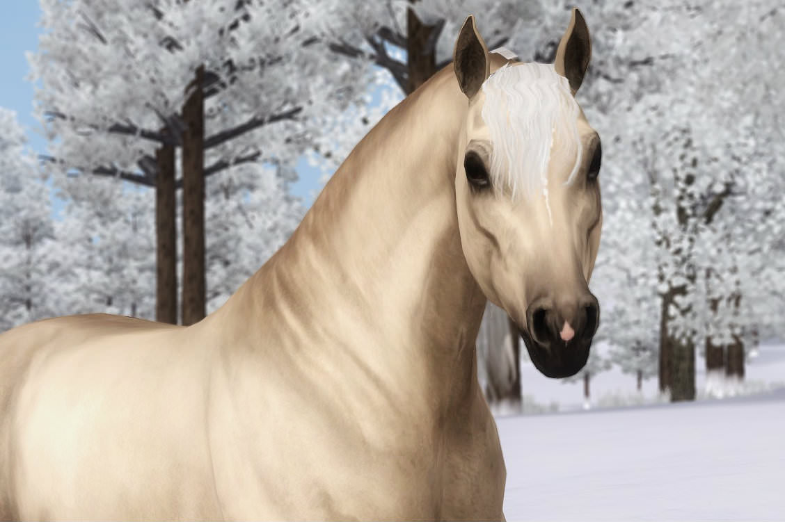 Horse image