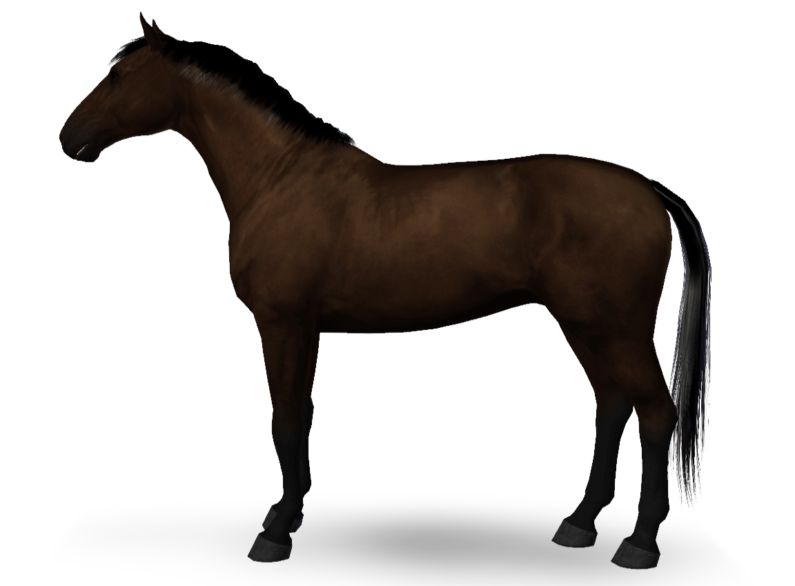 Horse image