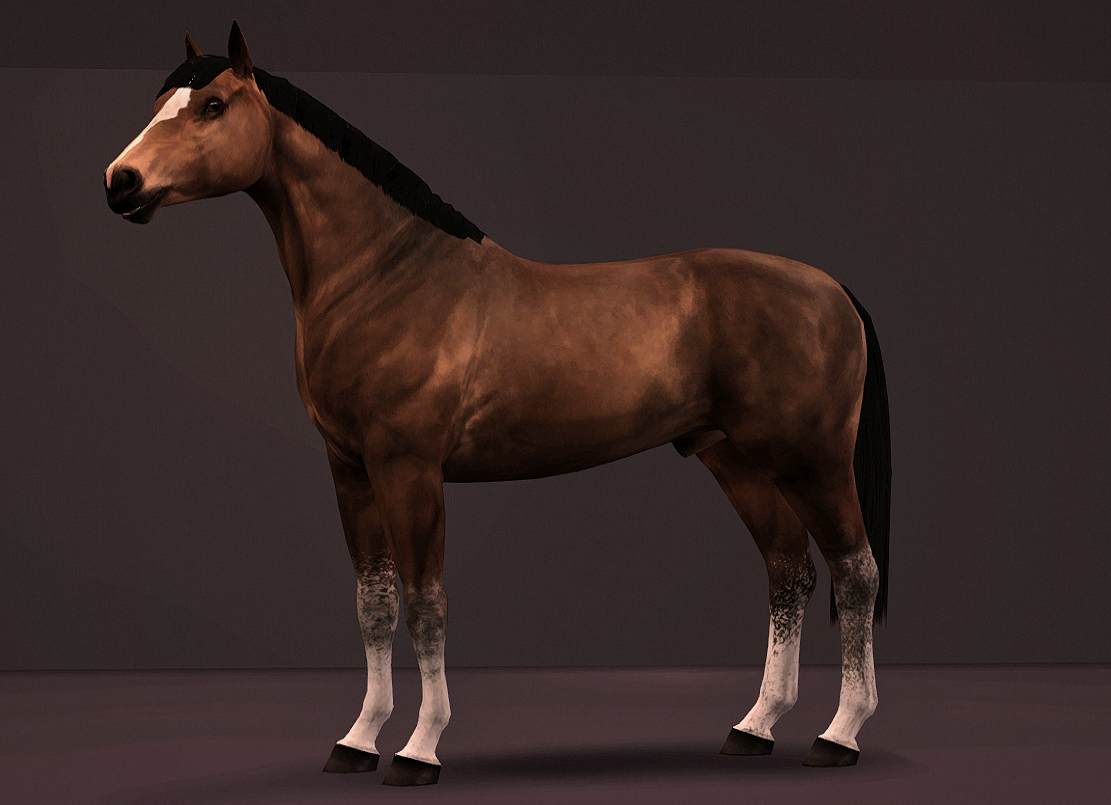 Horse image