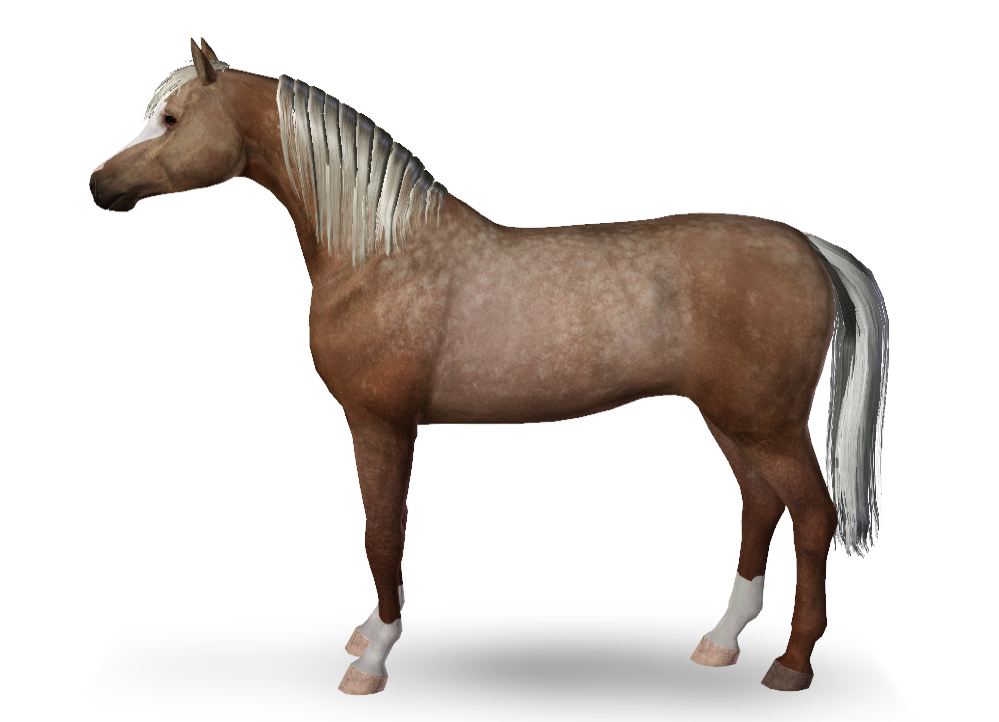 Horse image