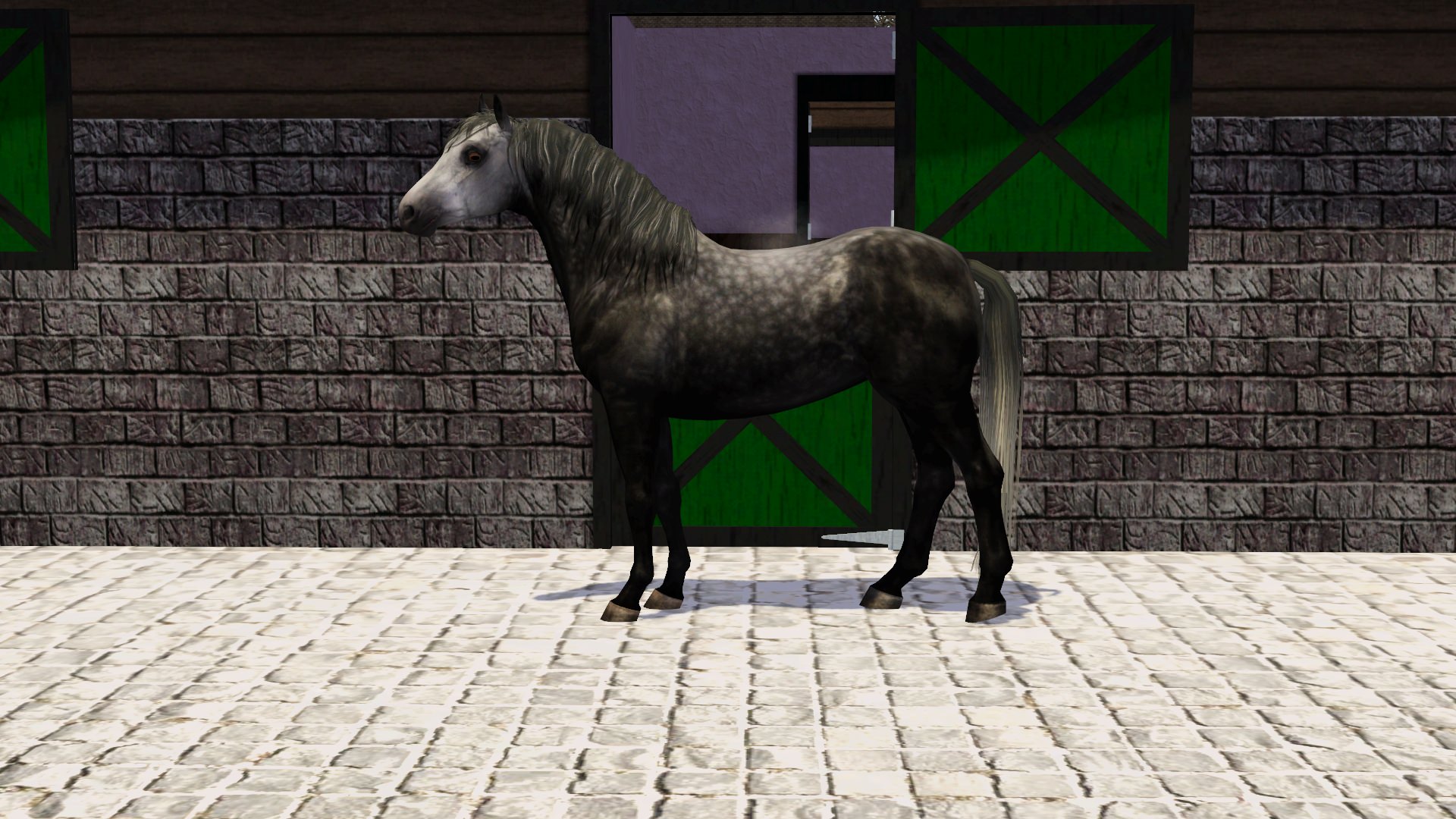 Horse image
