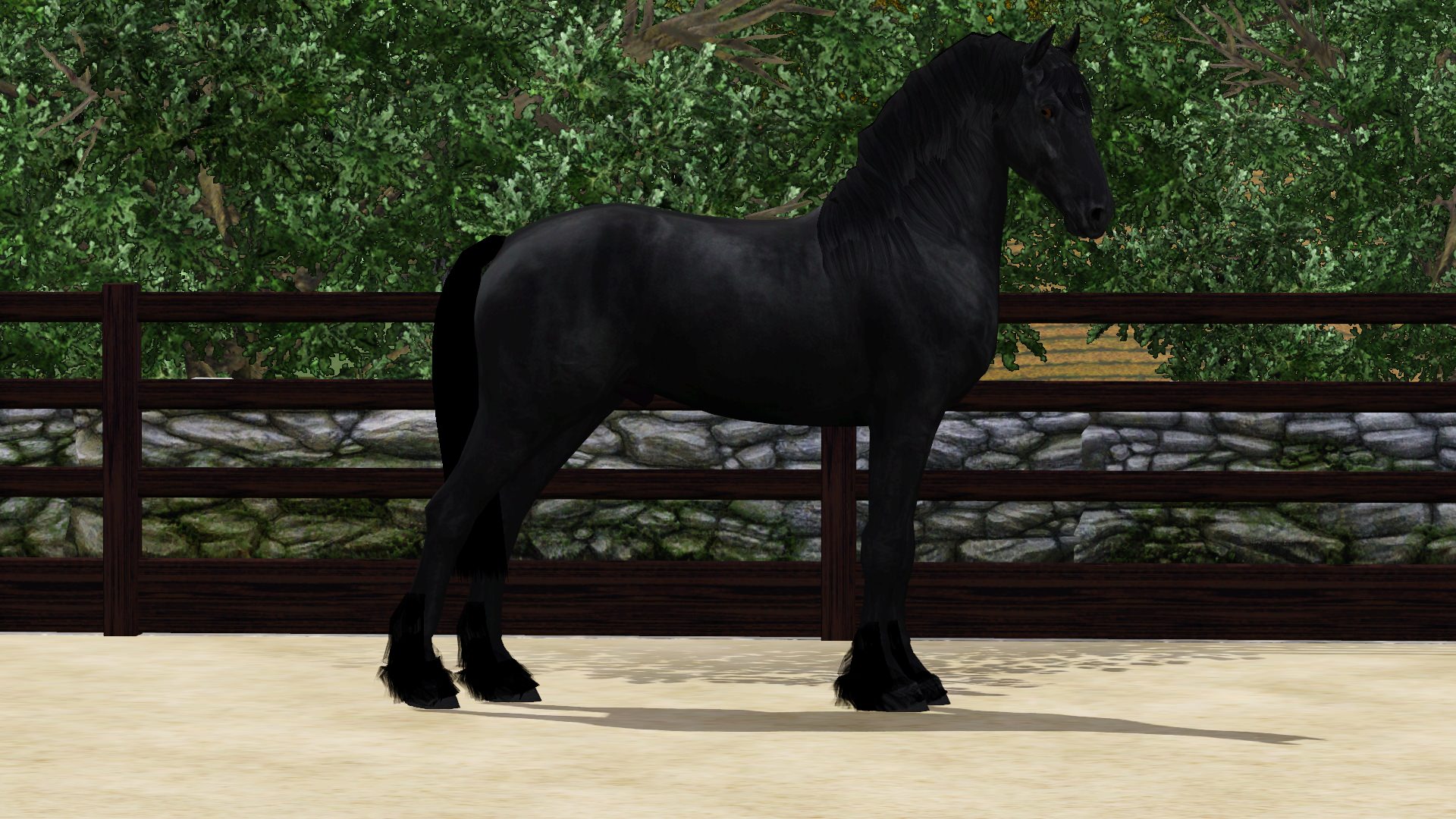 Horse image