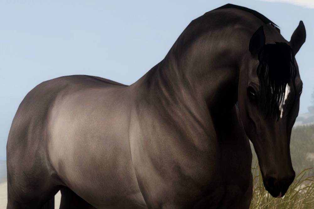 Horse image