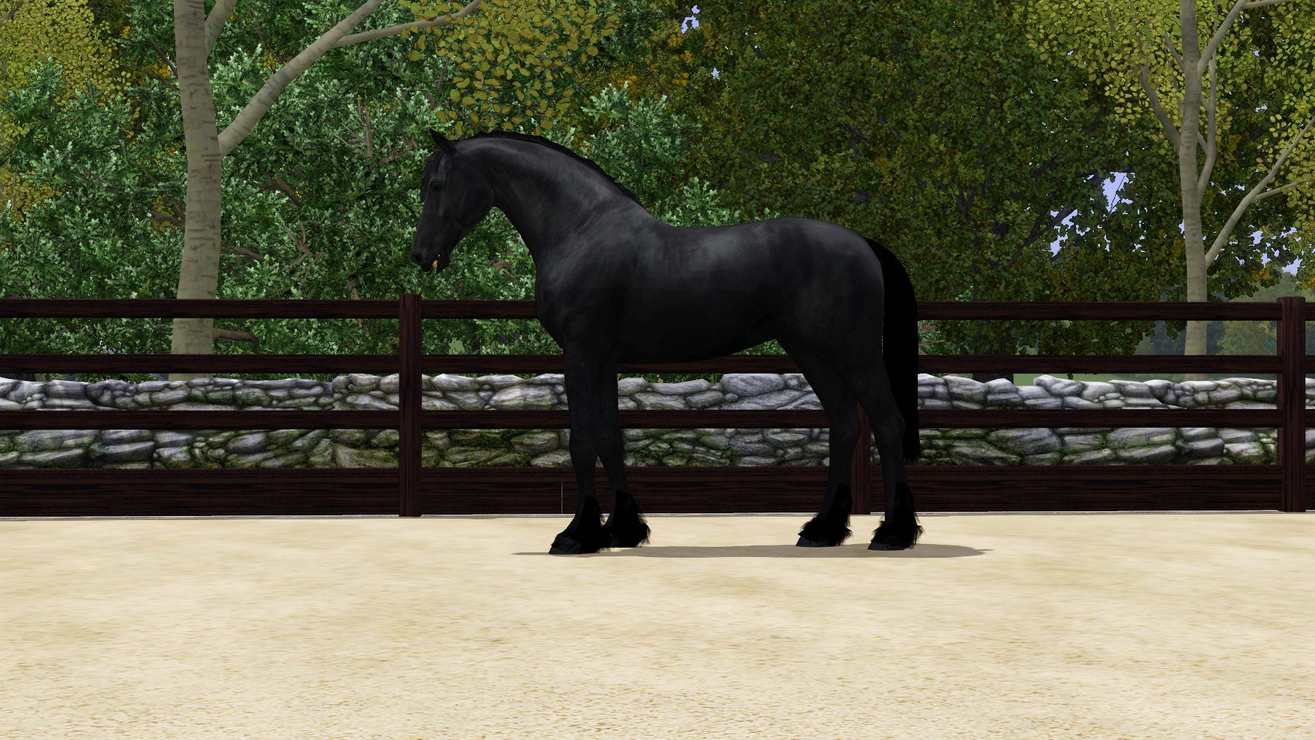 Horse image