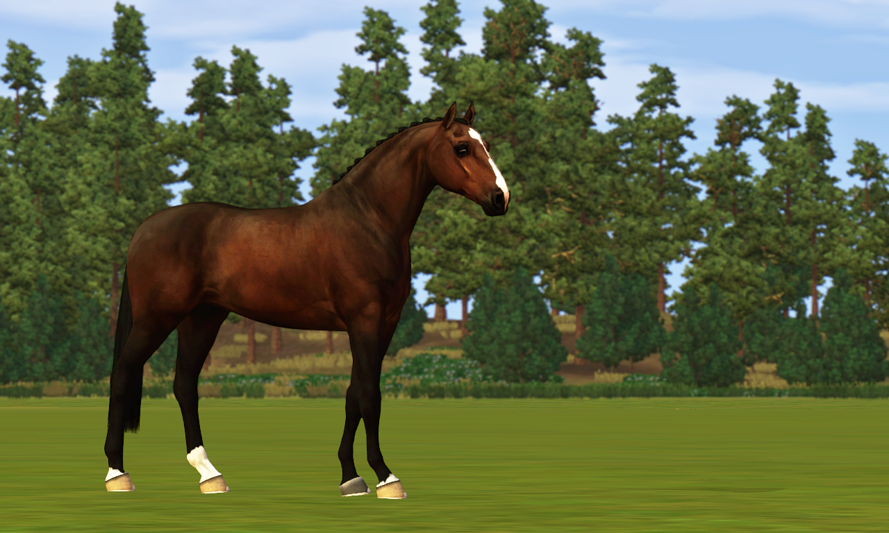 Horse image