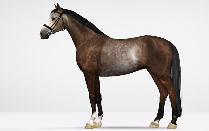 Horse image