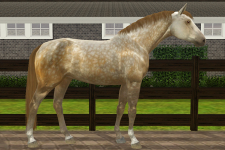 Horse image