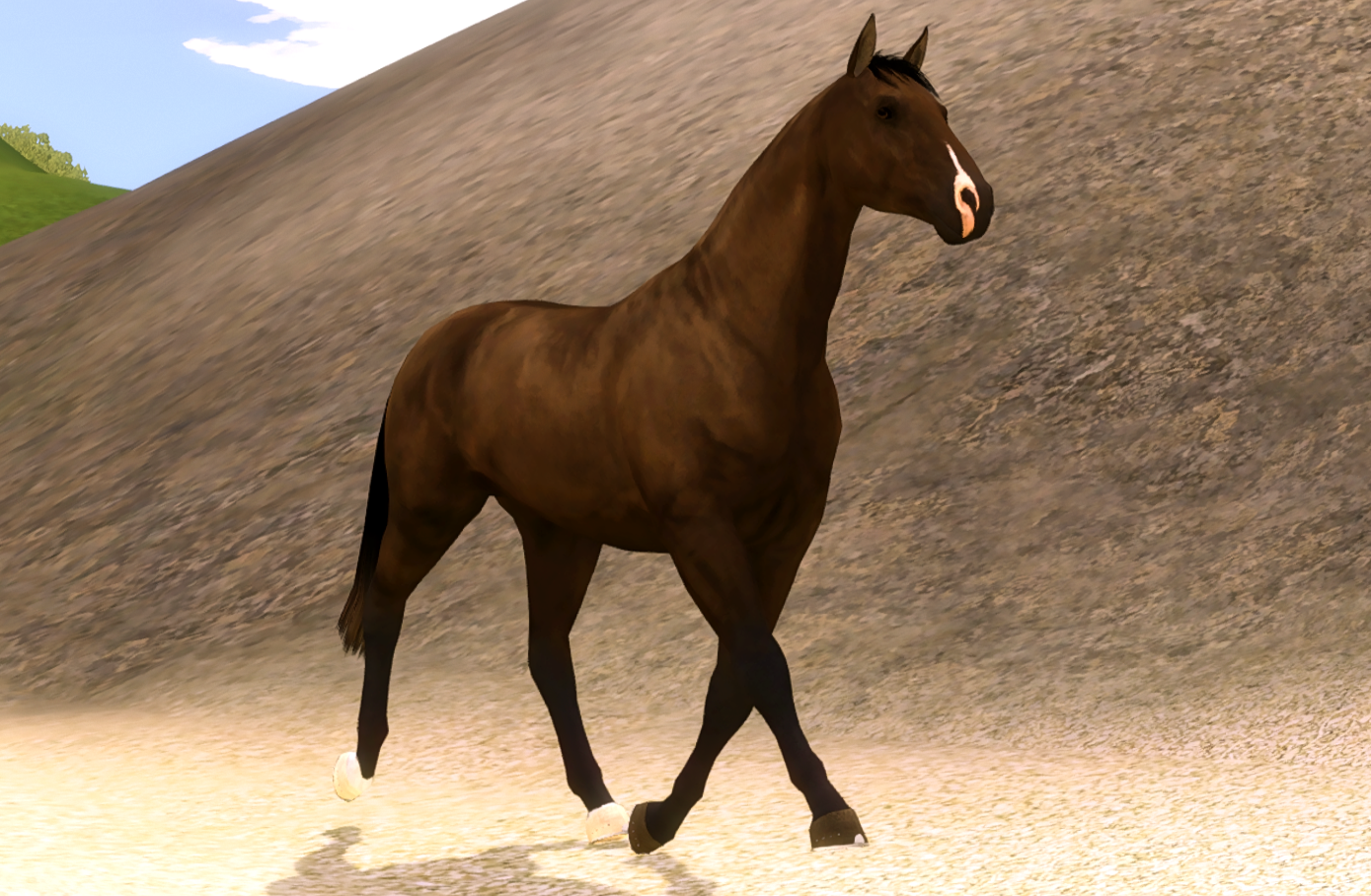 Horse image
