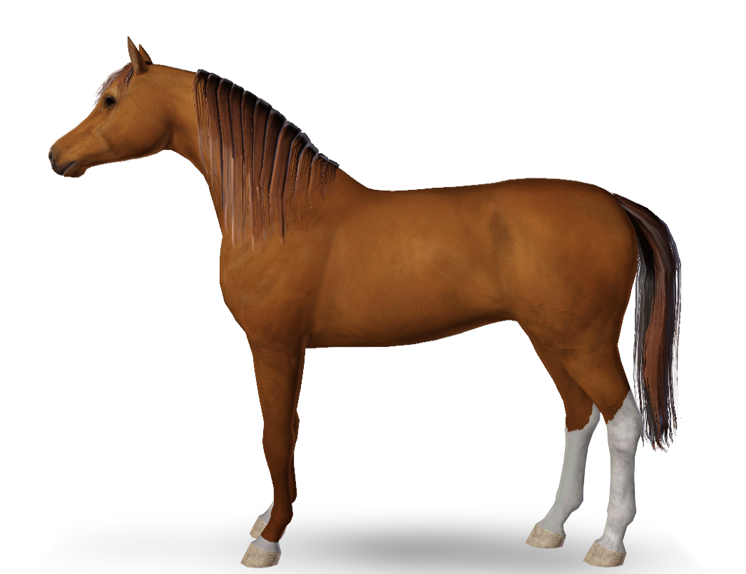 Horse image