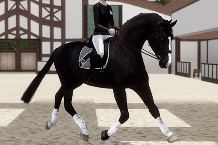 Horse image