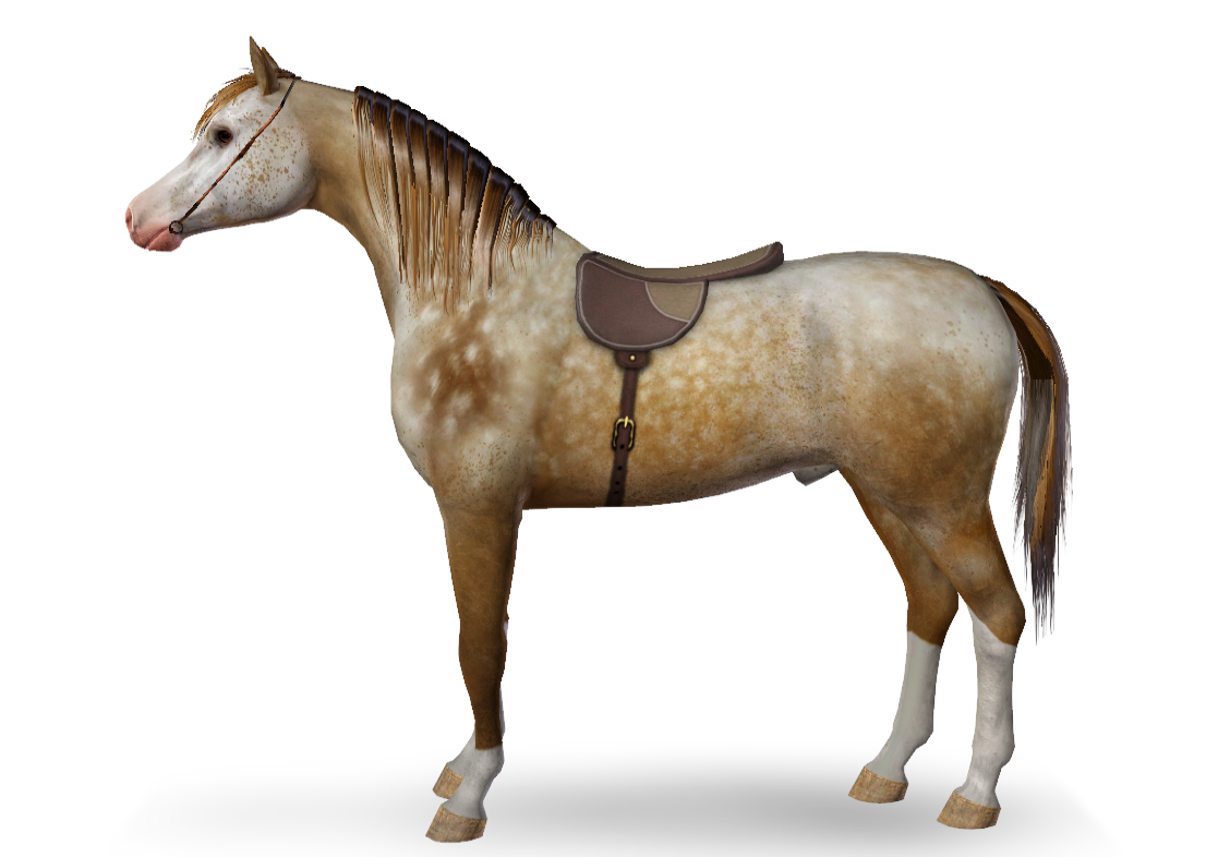 Horse image