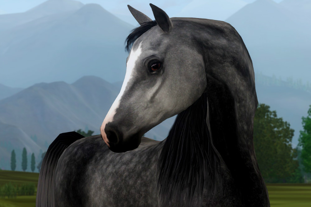 Horse image
