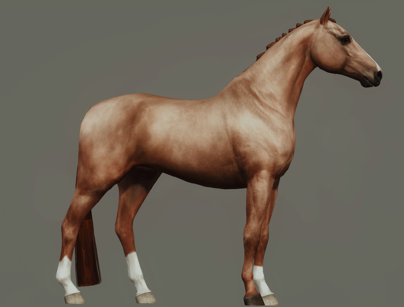 Horse image