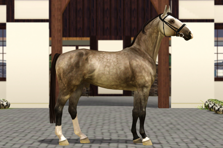 Horse image