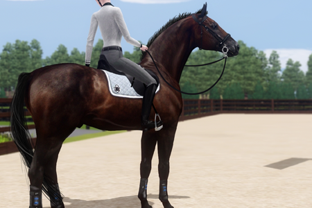 Horse image