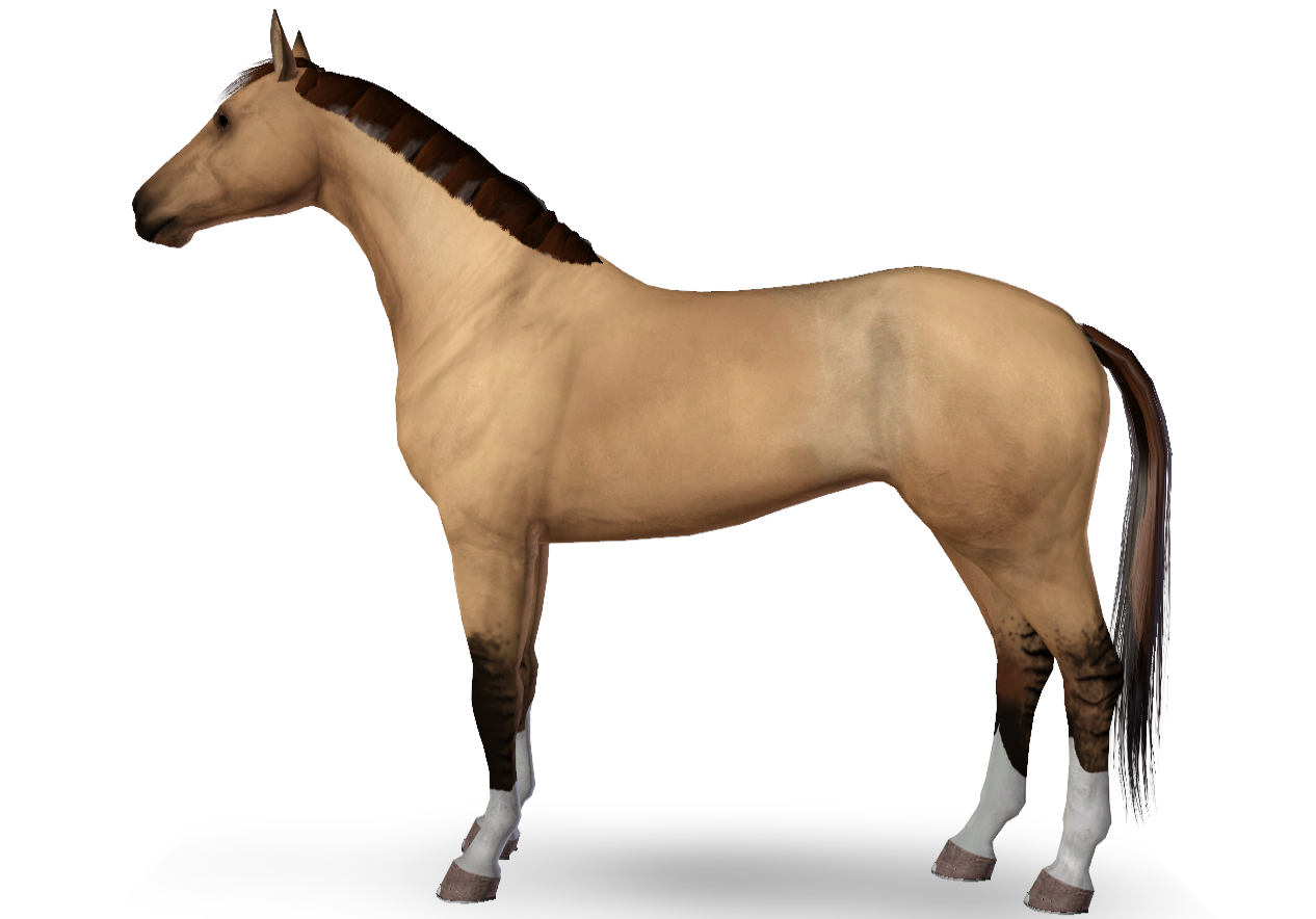 Horse image