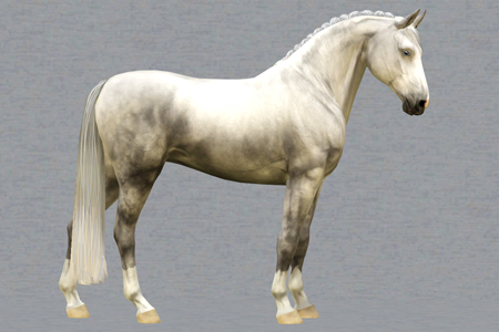 Horse image