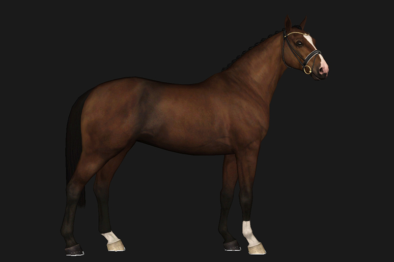 Horse image