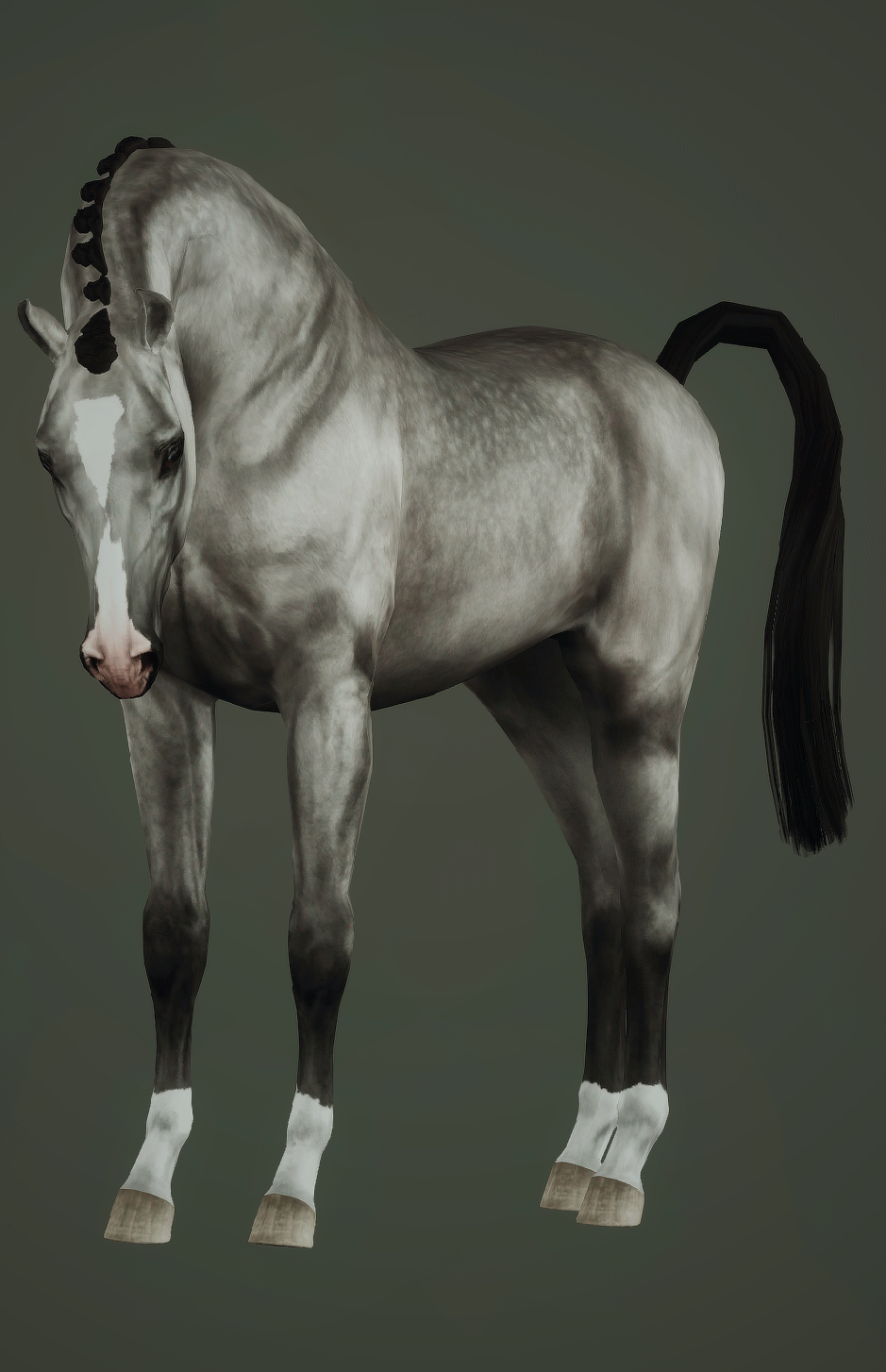 Horse image