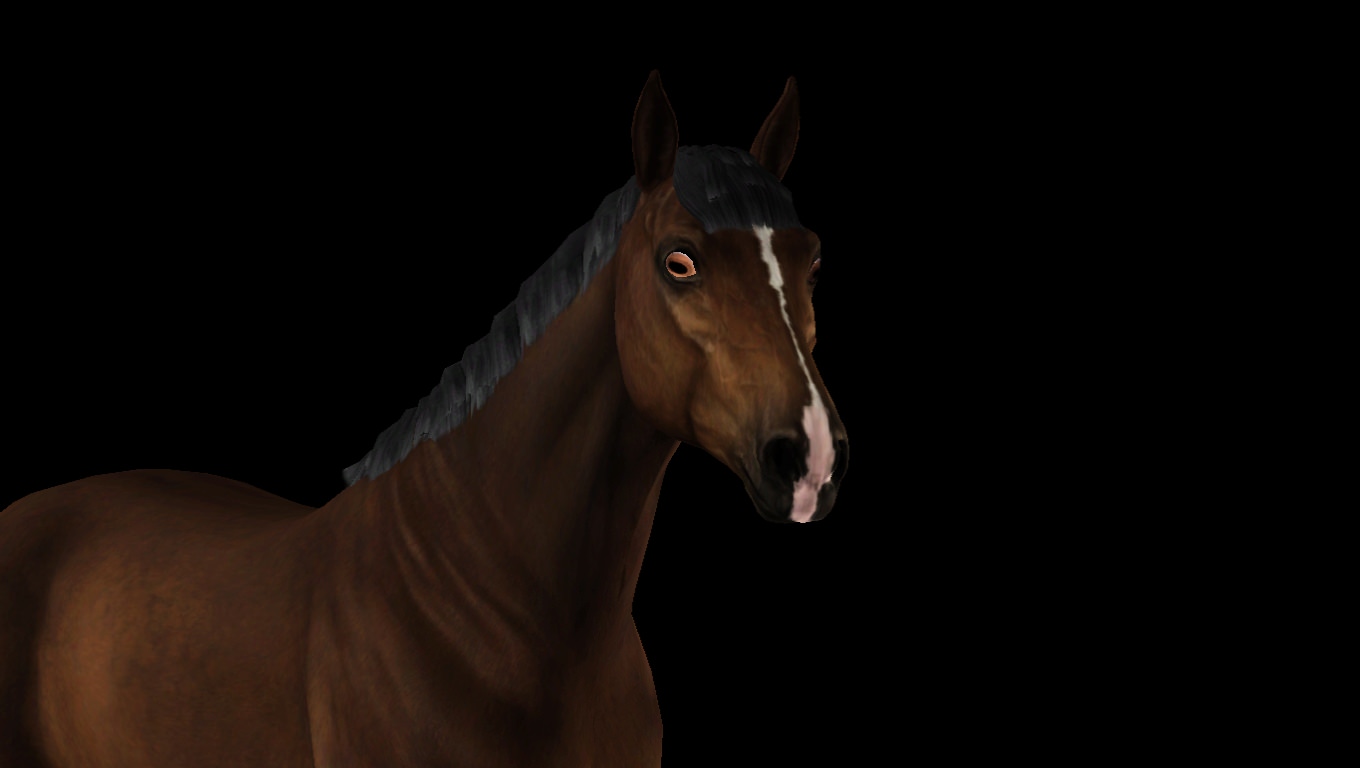 Horse image