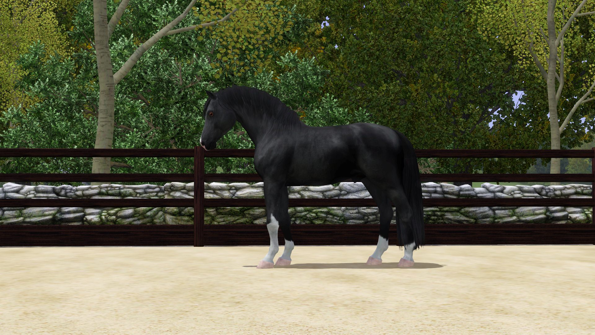 Horse image