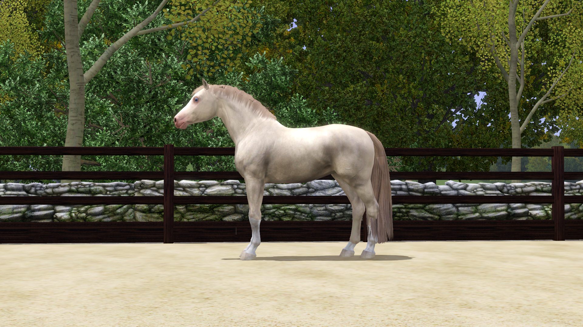 Horse image
