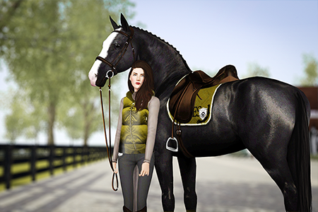 Horse image