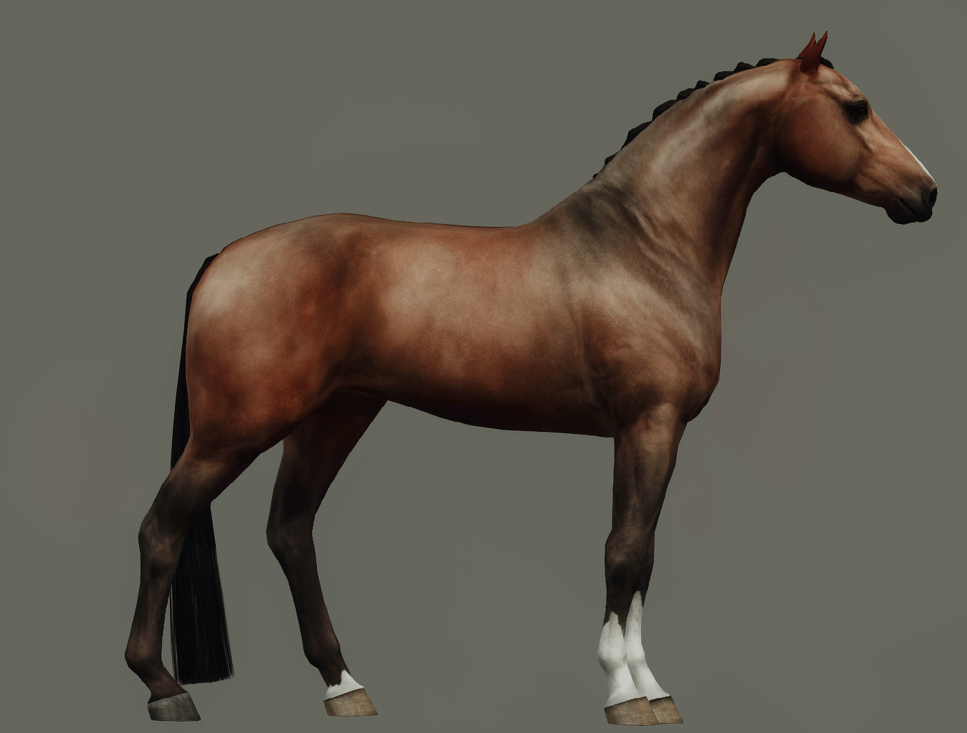 Horse image