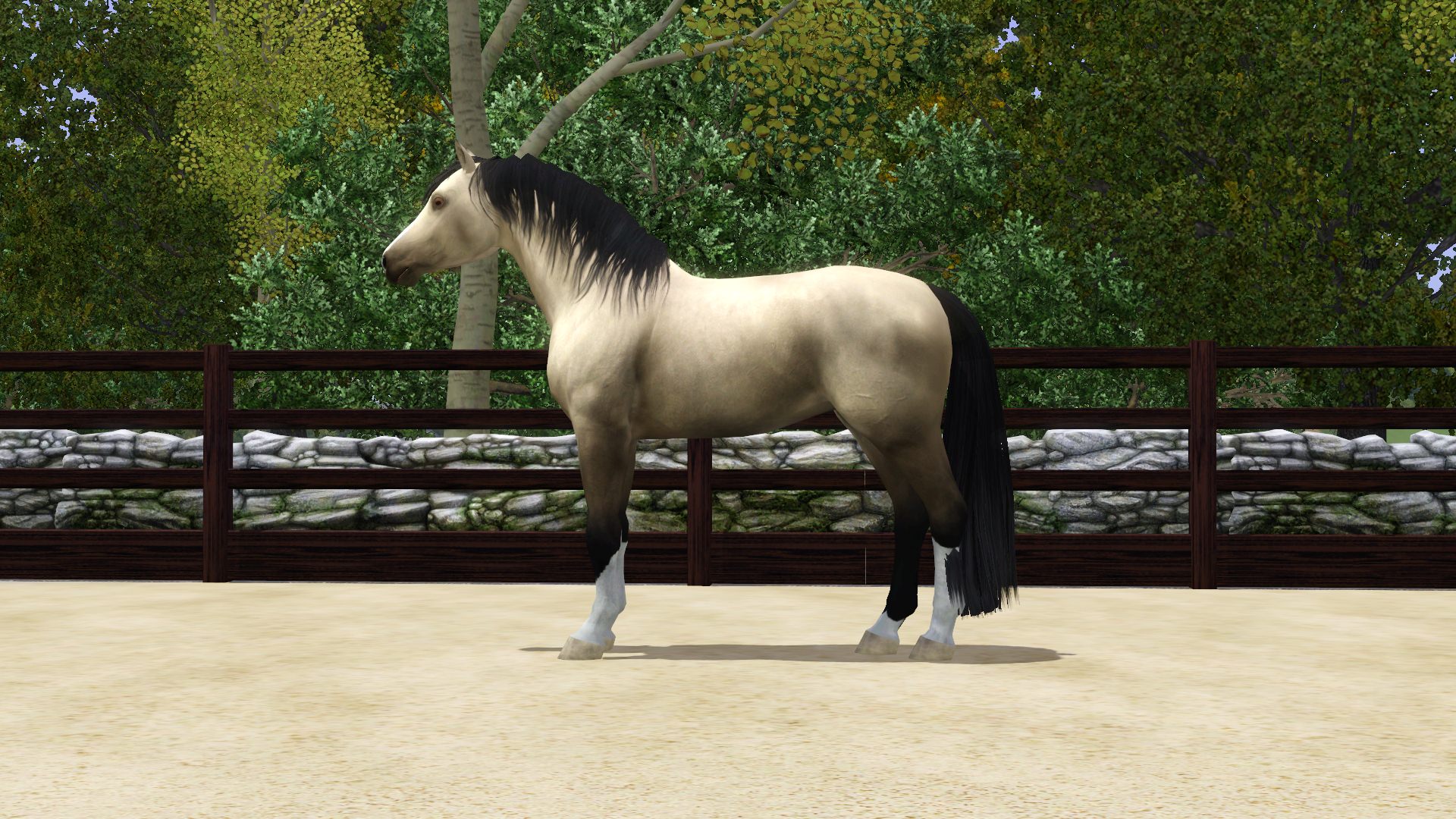 Horse image
