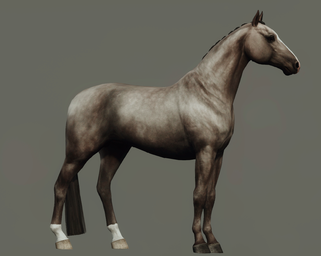 Horse image