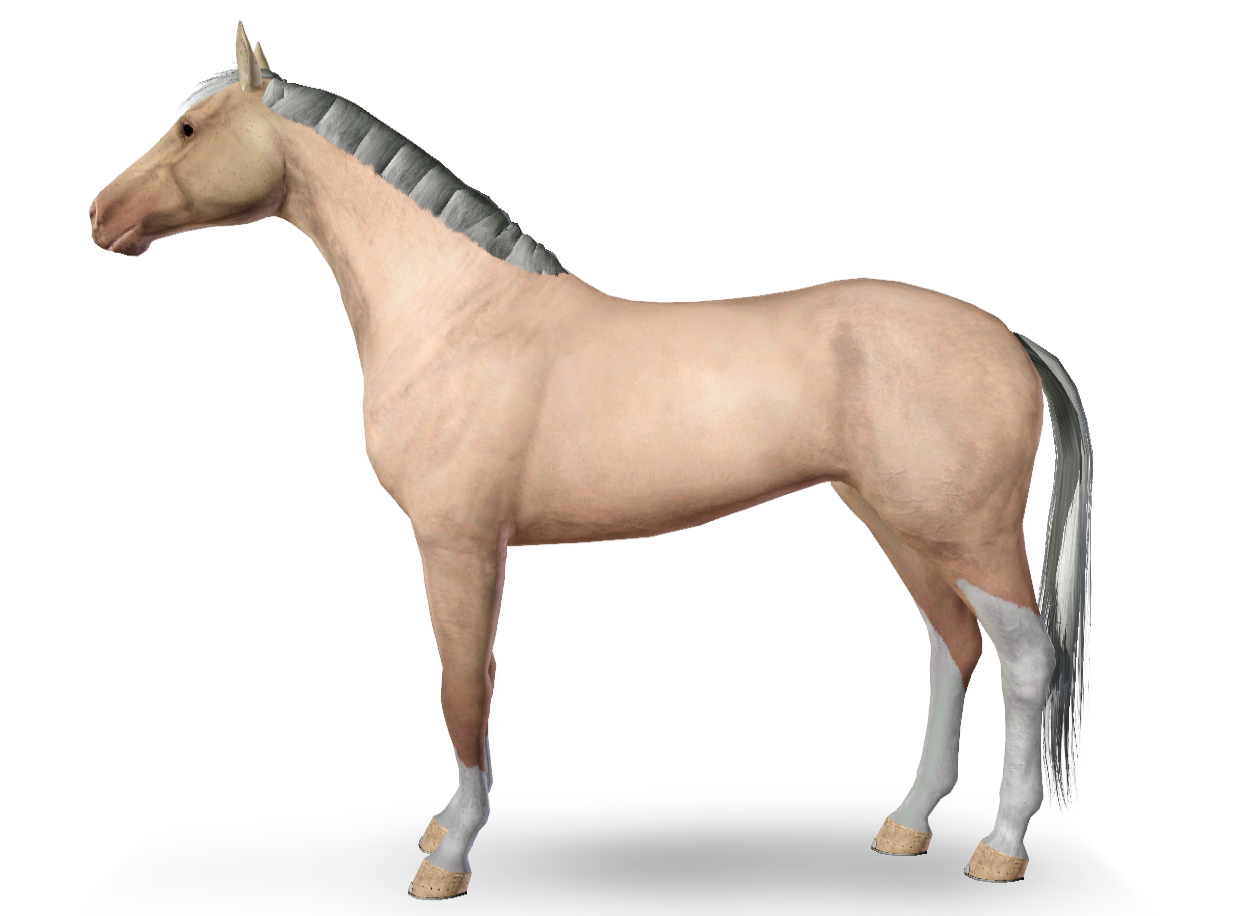 Horse image