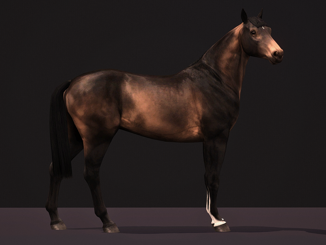 Horse image