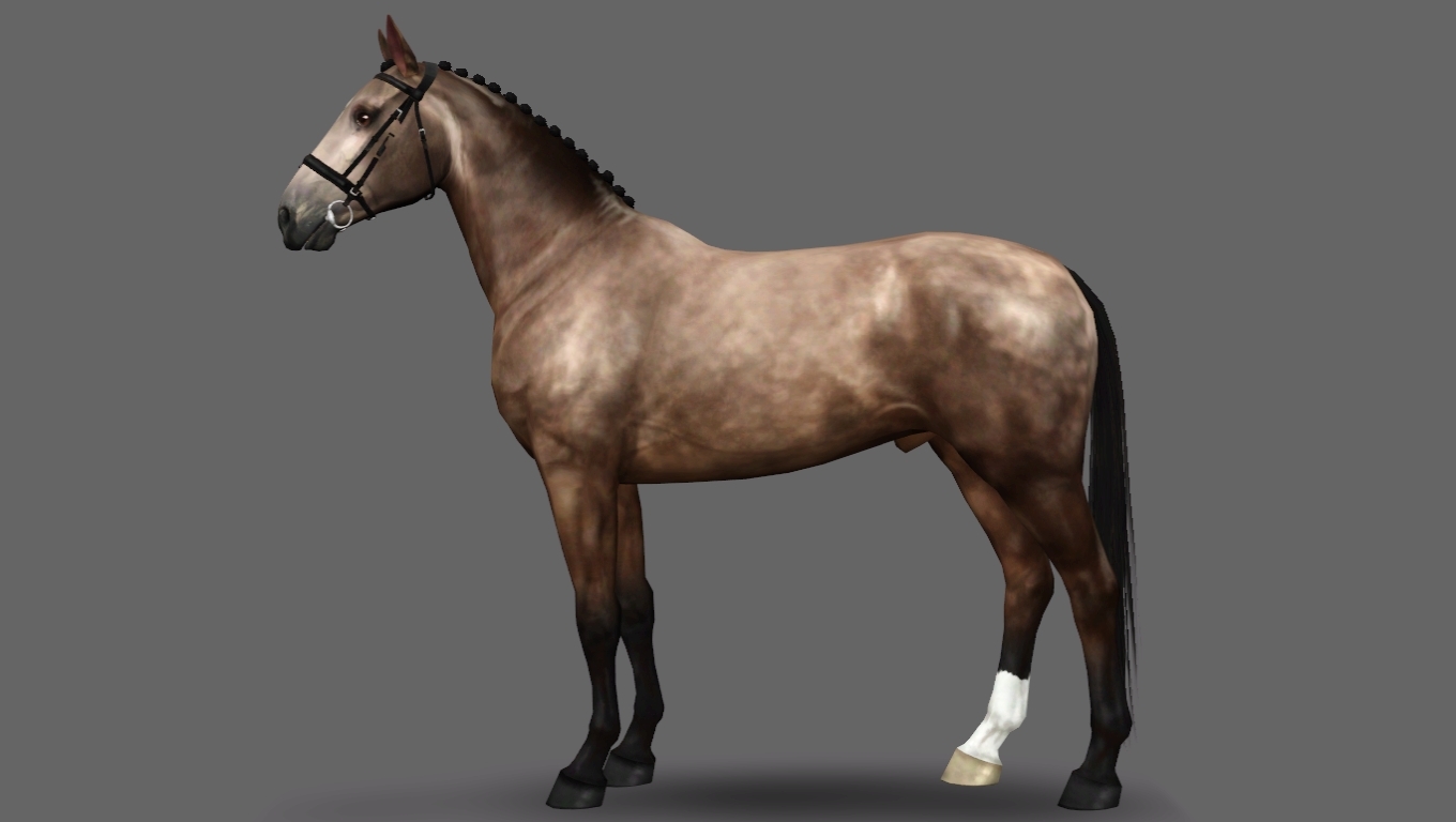 Horse image