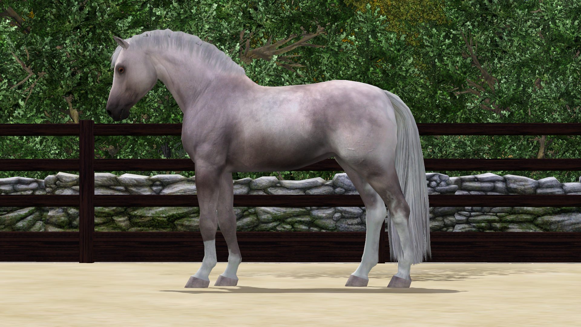 Horse image