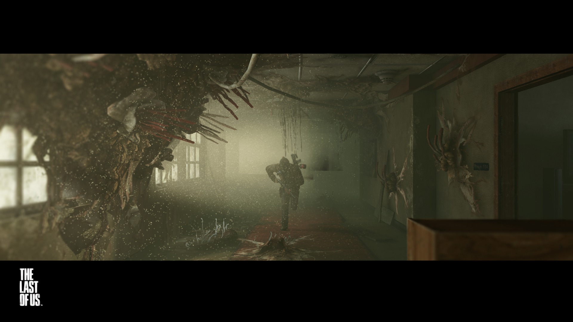 d07TheLastofUsRemastere.jpg