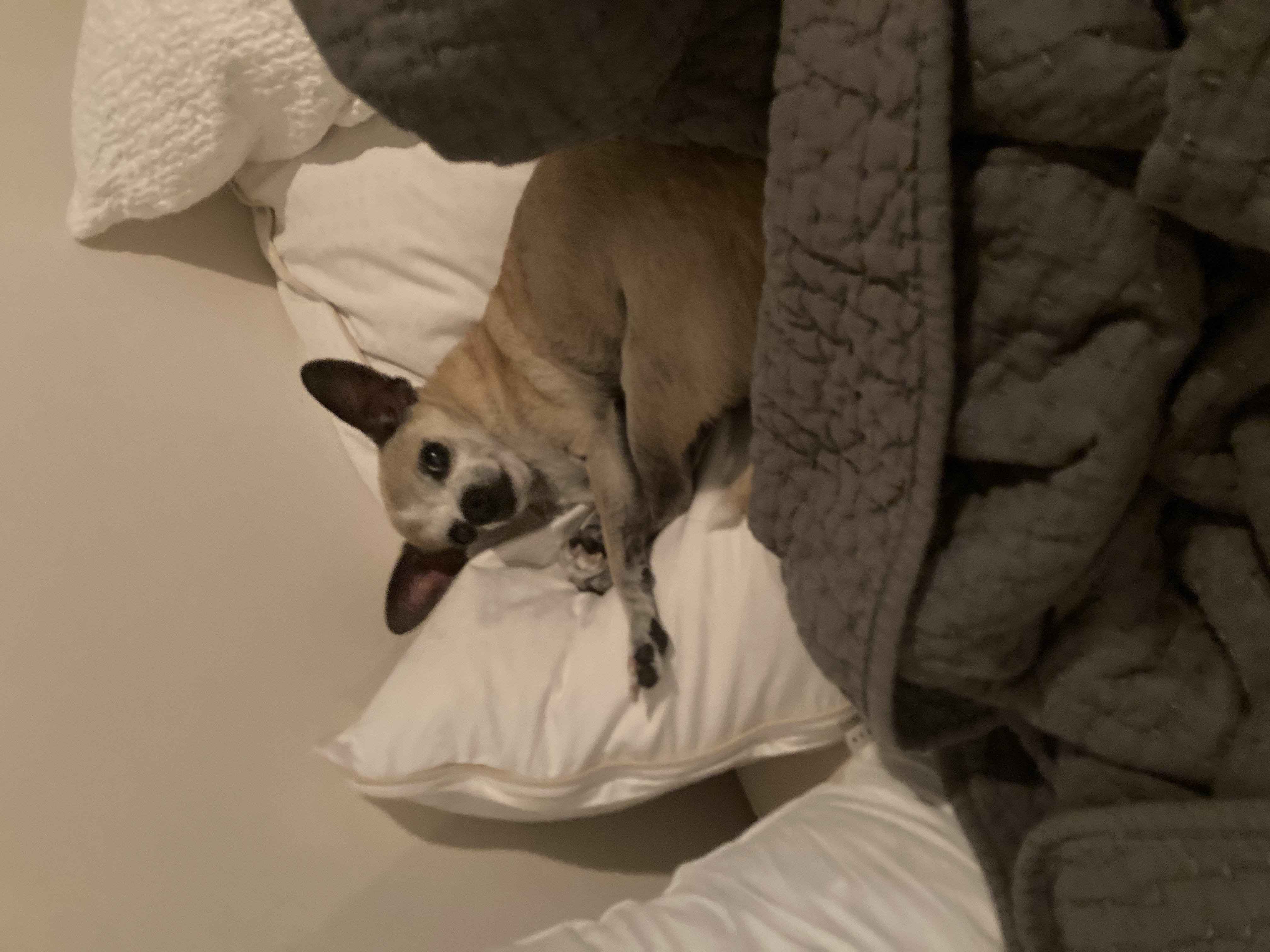 490F515CA6134461AB2E.jpeg