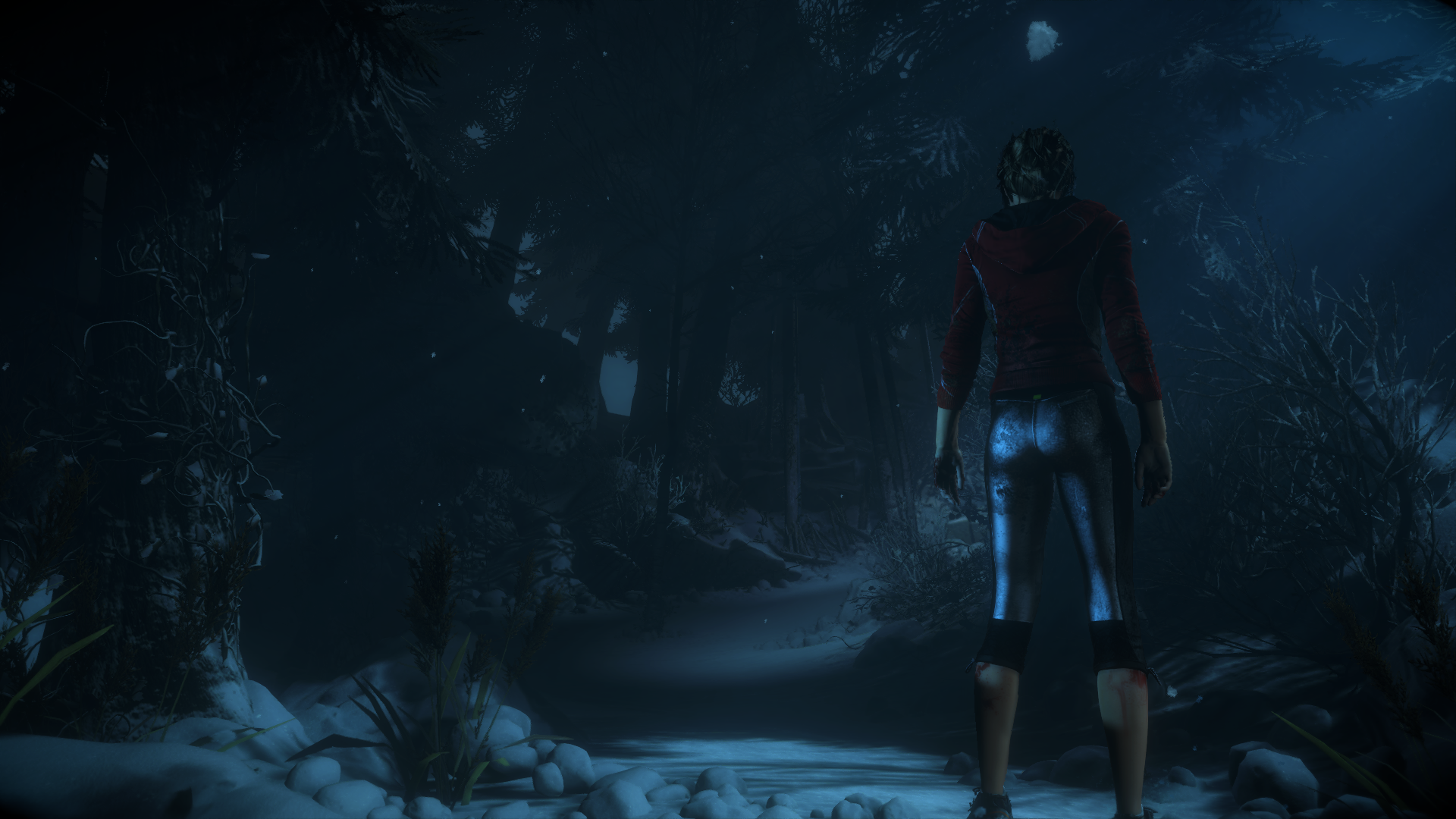 UntilDawn20150905221.png