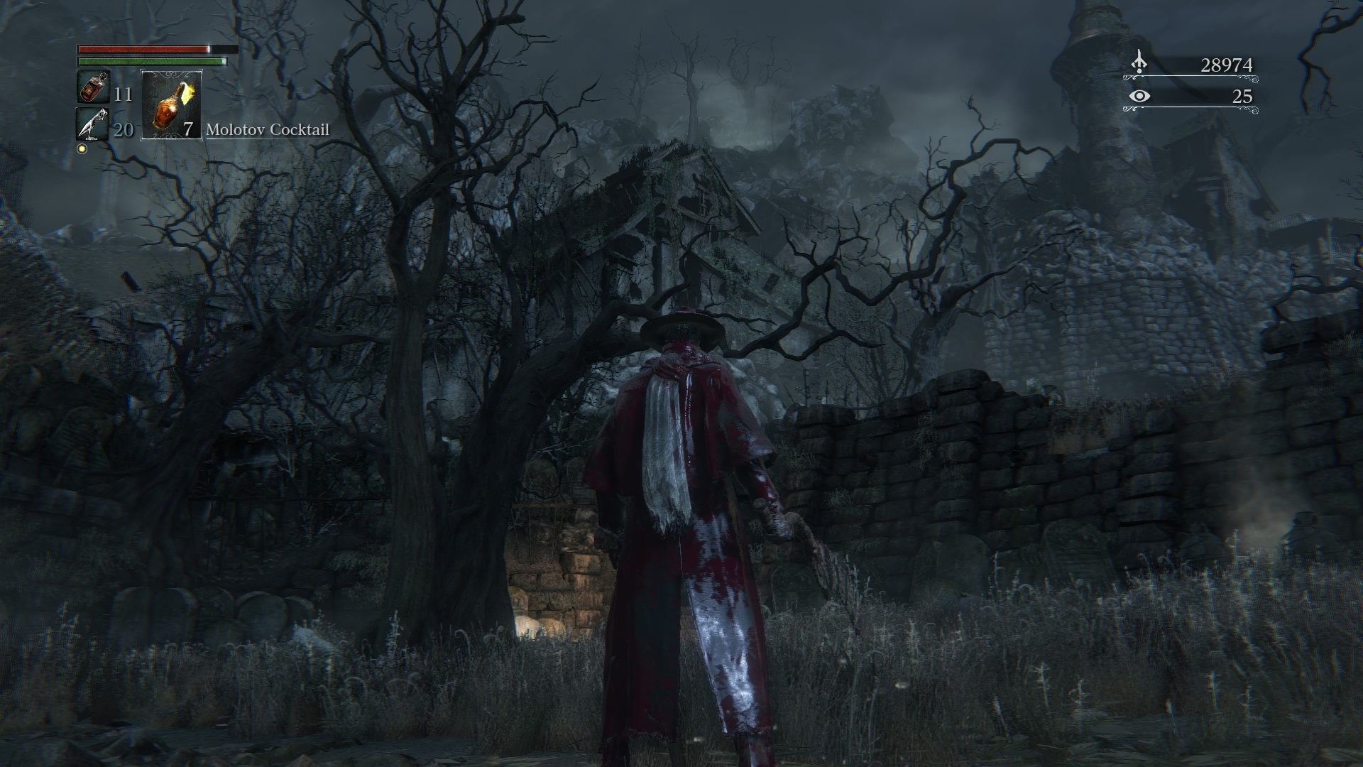 30eBloodborne2015032801.jpg