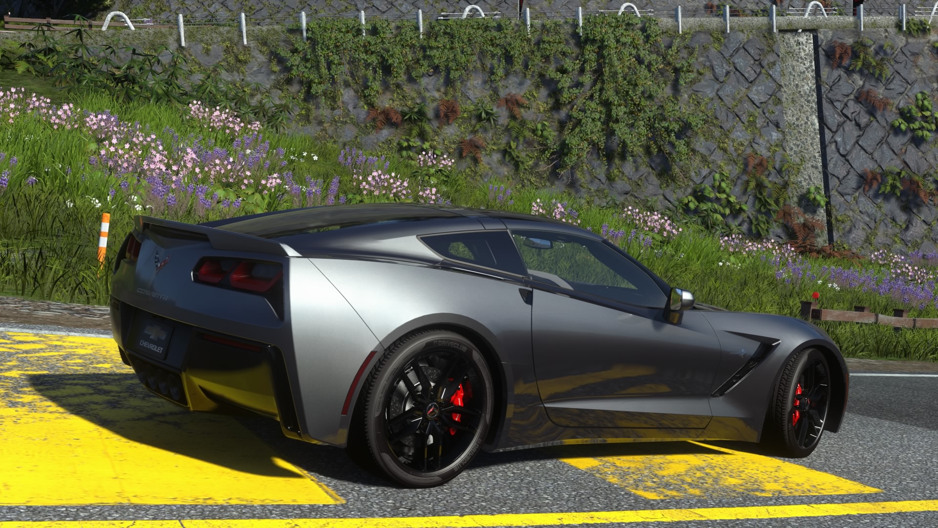 DRIVECLUB20150121223.jpg