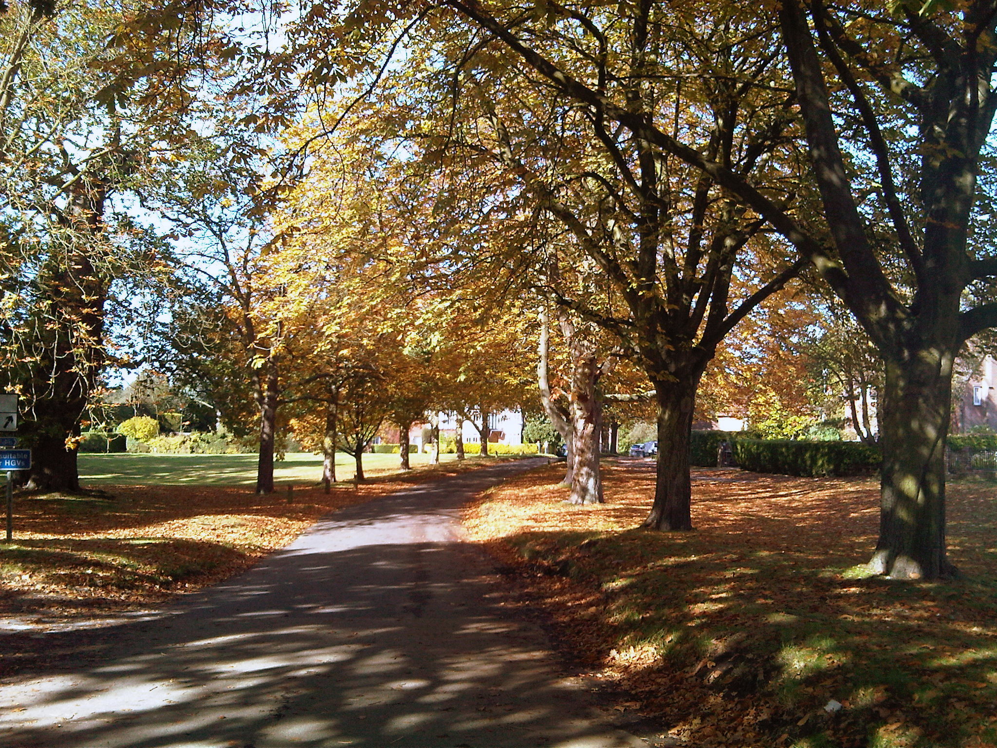 IMG00020201210121251.jpg