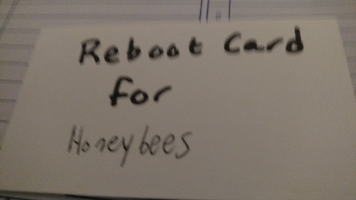 Reboot Card for Honeybees (front)