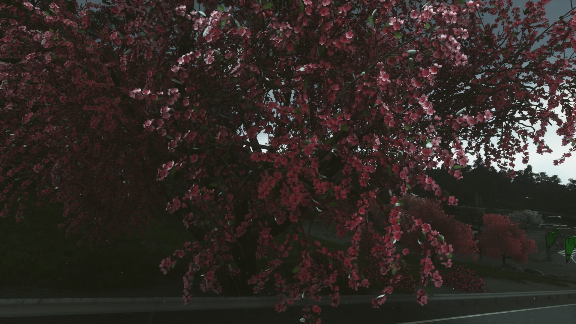 DRIVECLUB20150126042.jpg