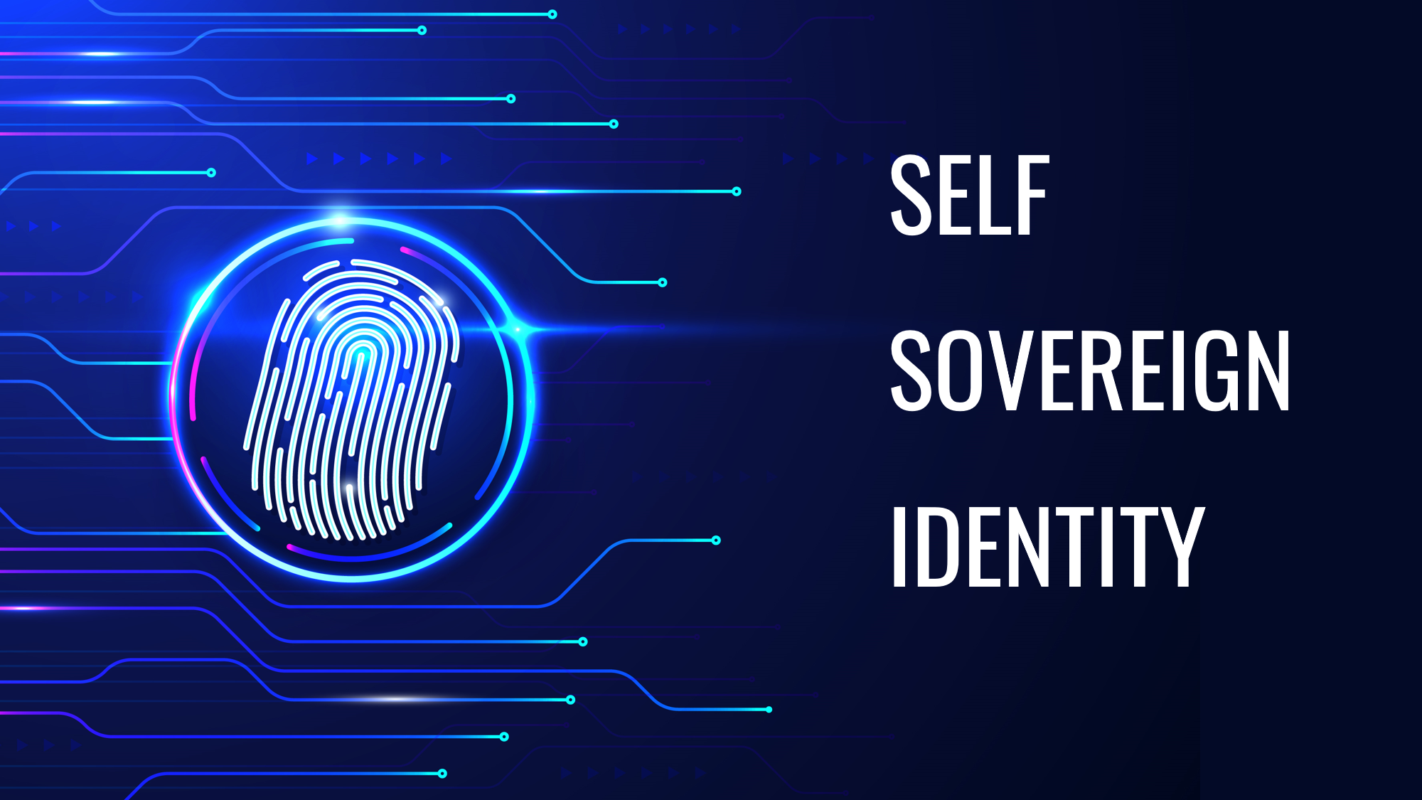 selfsovereignidentit.png