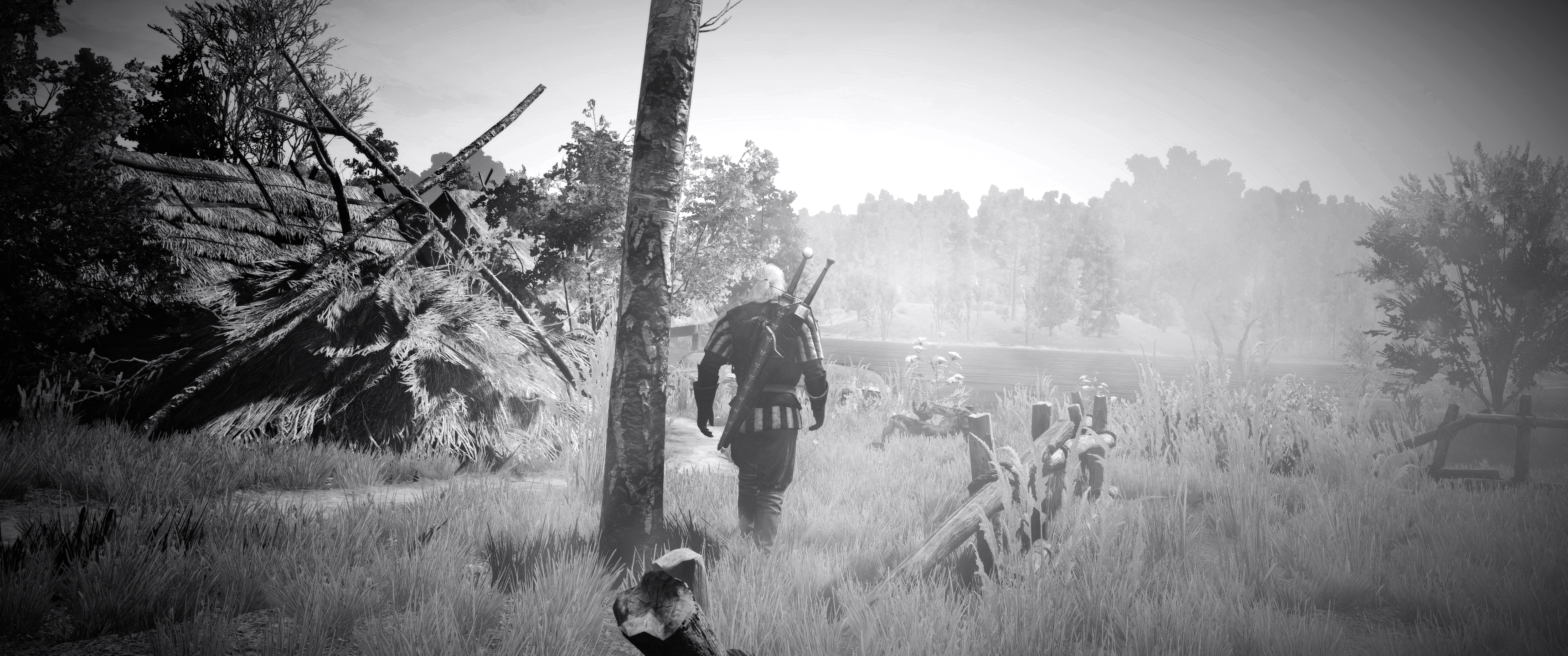witcher3201509141734.jpg