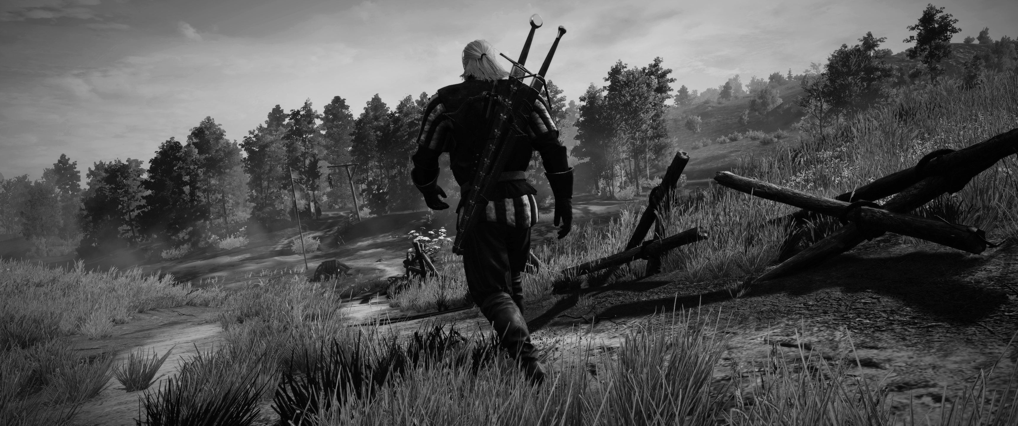witcher3201509151842.jpg