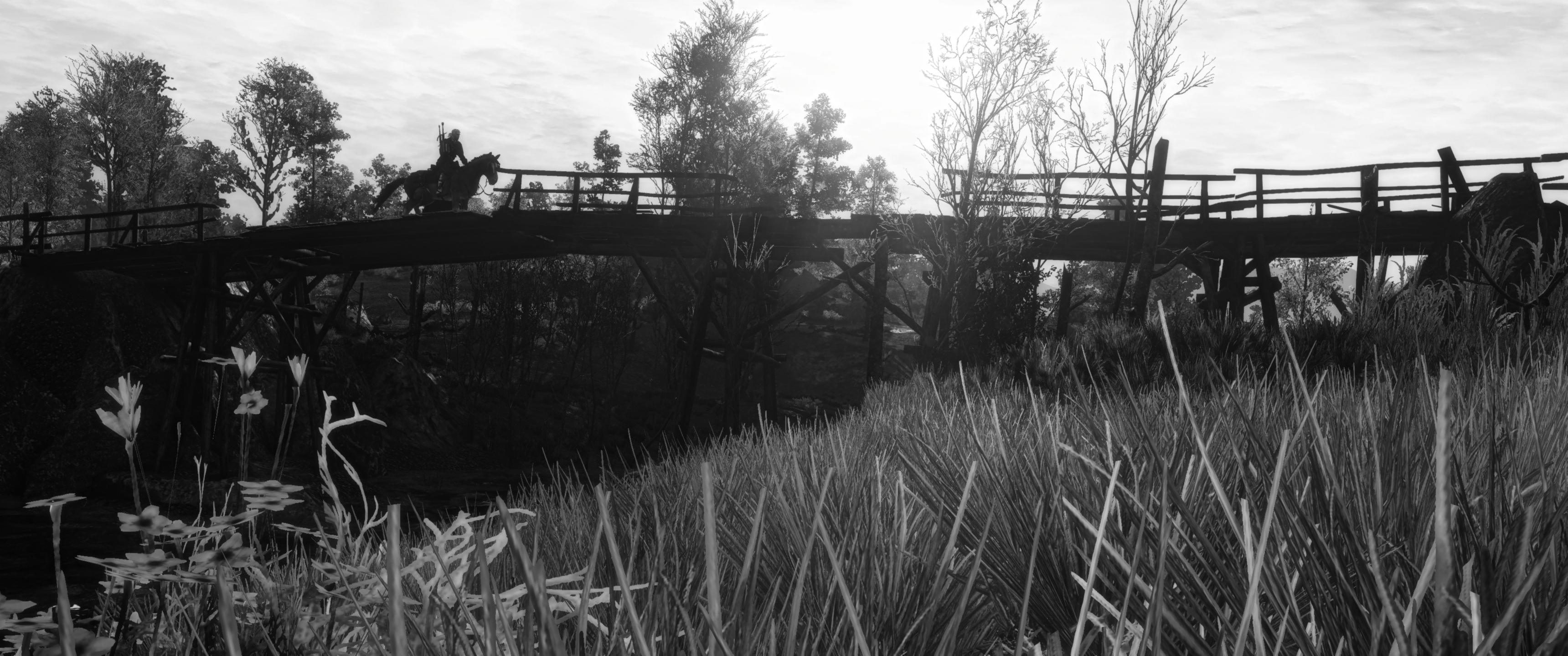 witcher3201509232036.jpg