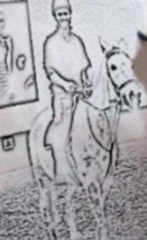 48.jpg